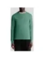 Lyle & Scott Herren Pullover Grün | online kaufen