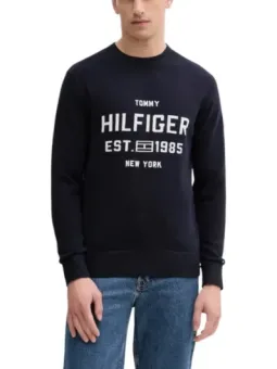 Tommy Hilfiger Herren Pullover Blau mieten - Flex-Fashion