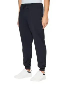 Tommy Hilfiger Herren Hose Blau leihen - Flex-Fashion Shop