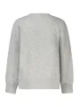 Jordan Herren Sweatshirt Grau leihen – Flex-Fashion Verleih