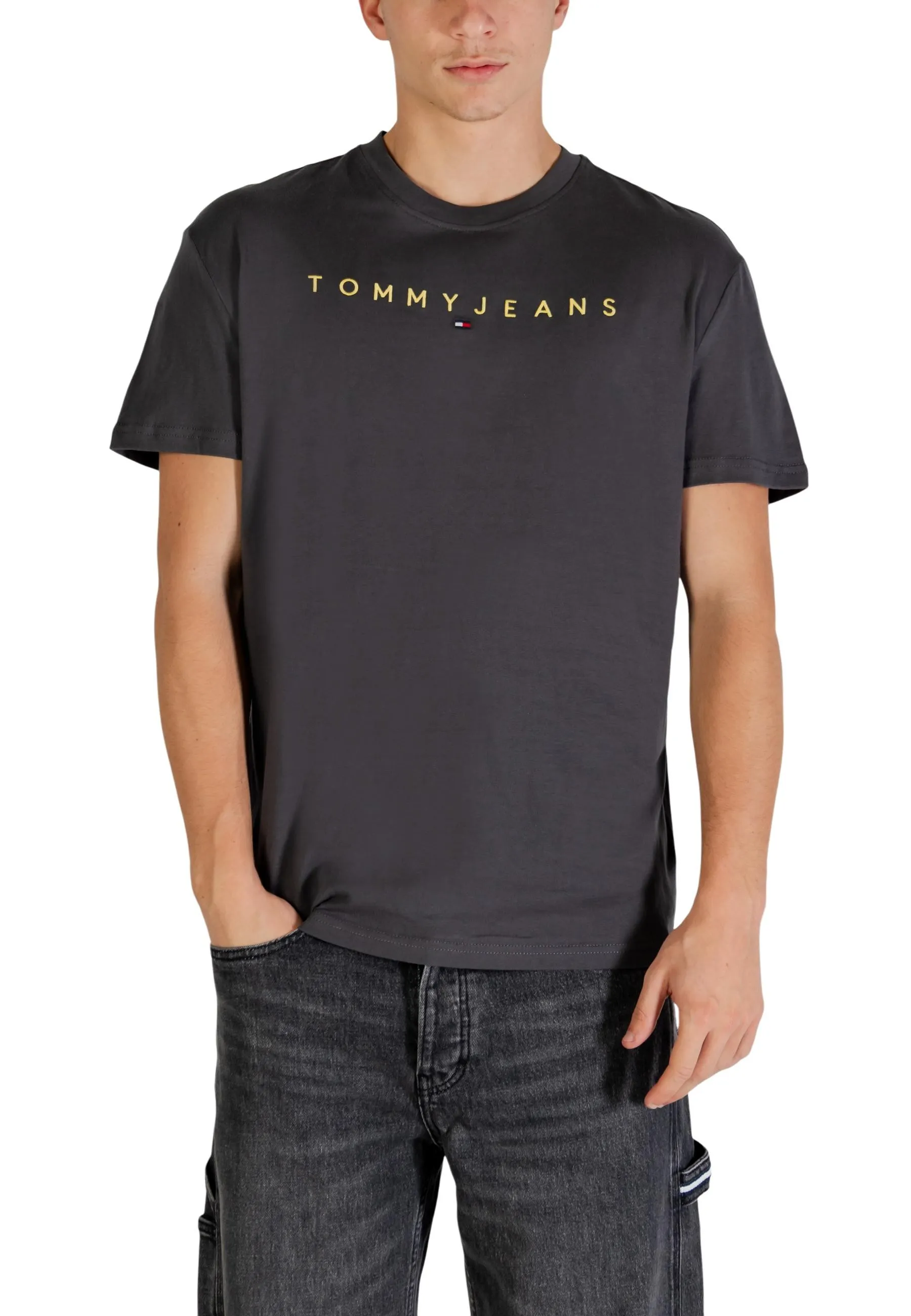 Herren T-Shirt Grau 497346