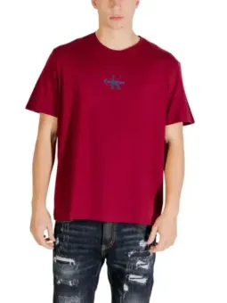 Calvin Klein Herren T-Shirt Bordeaux mieten | Flex-Fashion