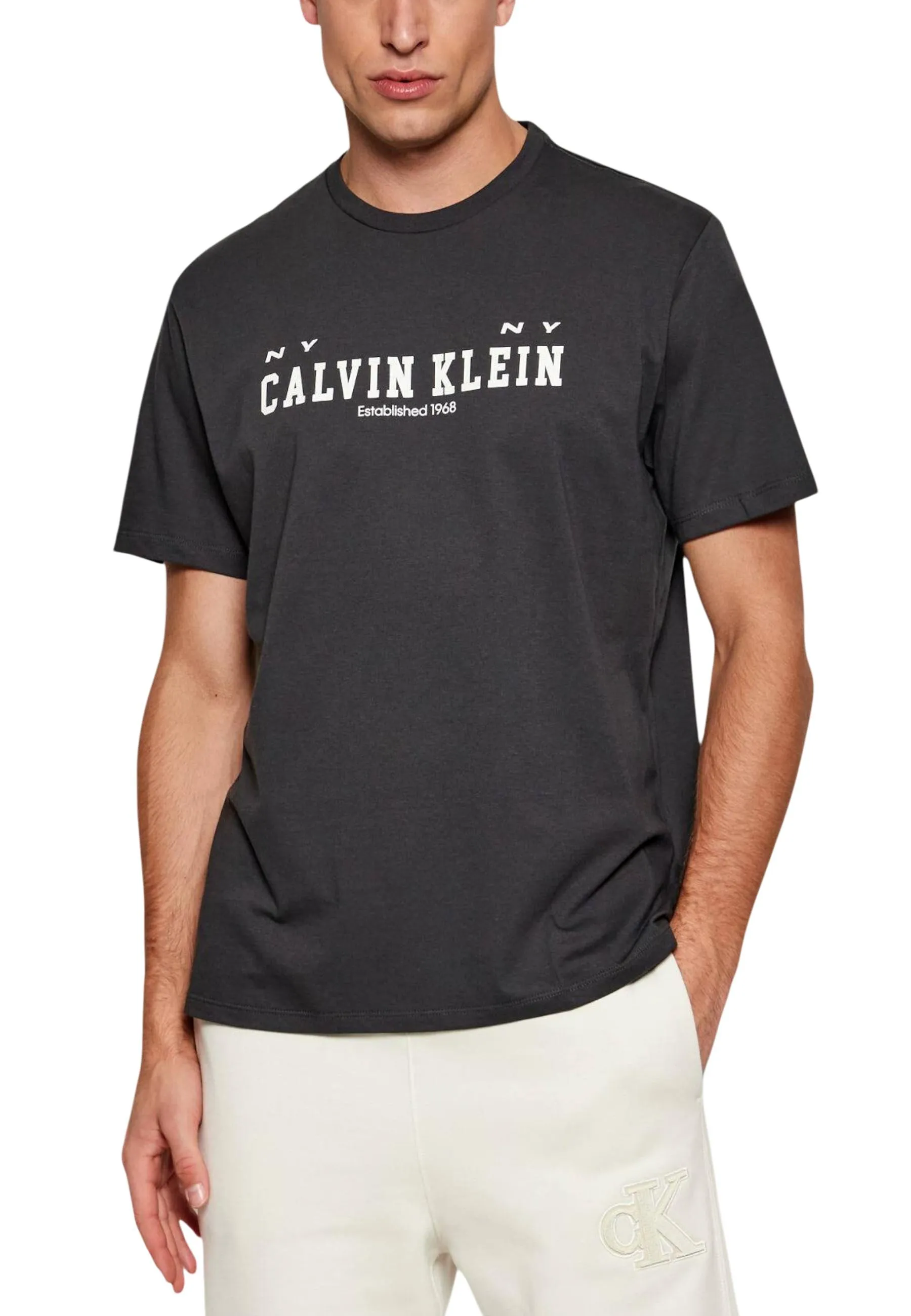 Herren T-Shirt Schwarz 496579