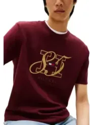 Tommy Hilfiger Herren T-Shirt Bordeaux | online kaufen