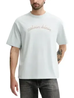 Calvin Klein Jeans Herren T-Shirt Azurblau | online kaufen