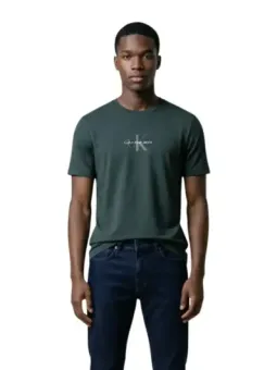 Calvin Klein Herren T-Shirt Grün mieten | Flex-Fashion