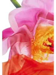 Desigual Damen Halstuch Schwarz | online kaufen