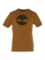 Timberland Herren T-Shirt Kamelhaarfarben | online kaufen