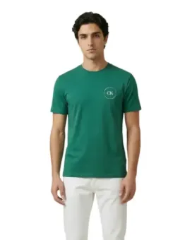 Calvin Klein Herren T-Shirt Grün mieten | Flex-Fashion