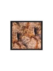 Desigual Damen Halstuch Beige | online kaufen