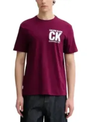 Calvin Klein Herren T-Shirt Bordeaux | online kaufen