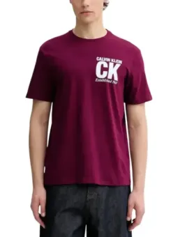 Calvin Klein Herren T-Shirt Bordeaux mieten | Flex-Fashion