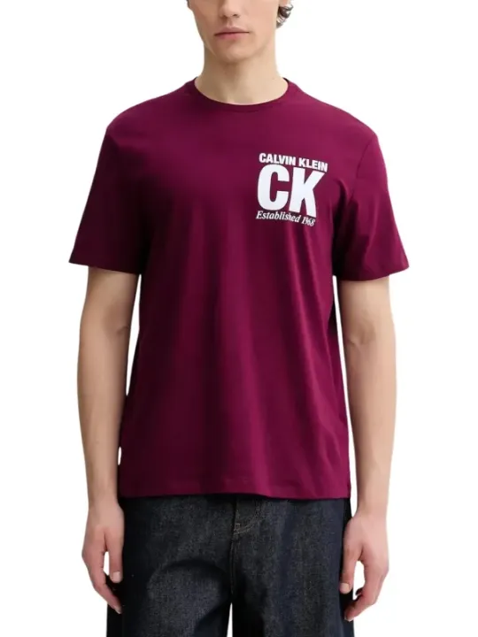 Calvin Klein Herren T-Shirt Bordeaux | online kaufen