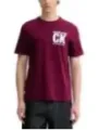 Calvin Klein Herren T-Shirt Bordeaux | online kaufen