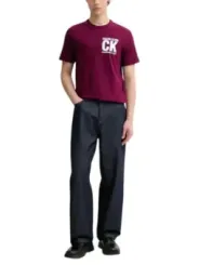 Calvin Klein Herren T-Shirt Bordeaux | online kaufen