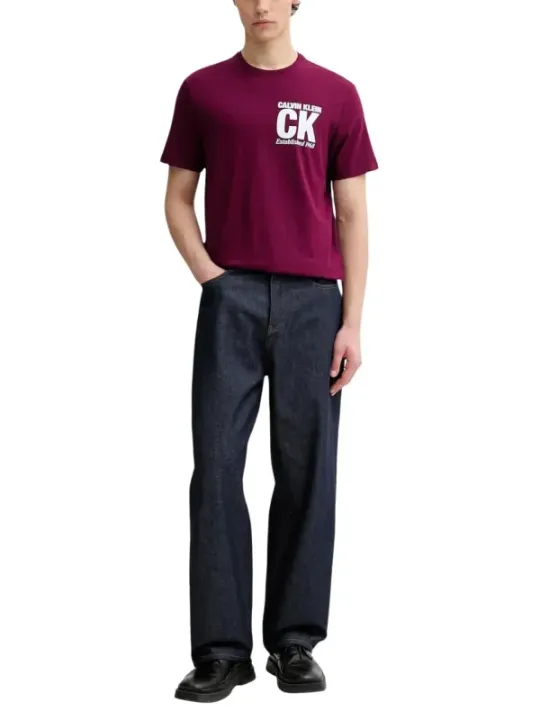 Calvin Klein Herren T-Shirt Bordeaux | online kaufen
