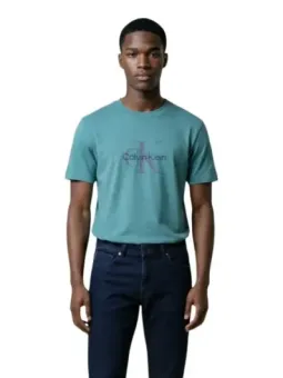 Calvin Klein Herren T-Shirt Grün mieten - Flex-Fashion