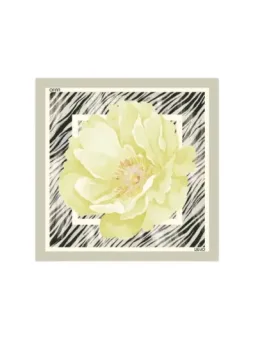 Liu Jo Damen Halstuch Grau | online kaufen