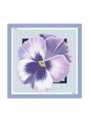 Liu Jo Damen Halstuch Lila | online kaufen