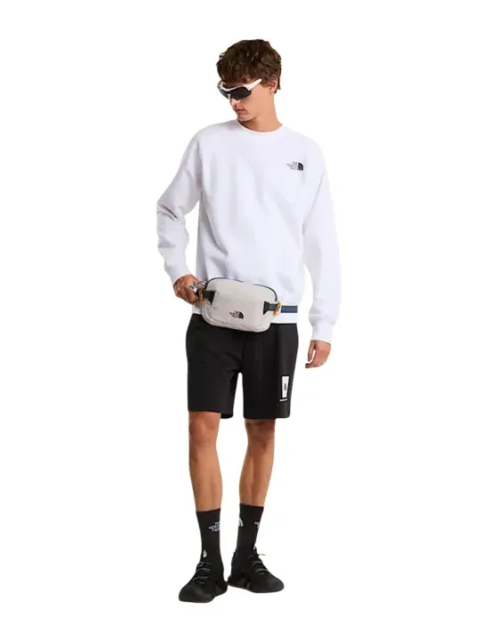 The North Face Herren Bermudas Schwarz | online kaufen