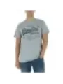 Superdry Herren T-Shirt Grau | online kaufen