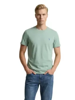 U.s. Polo Assn. Herren T-Shirt Grün | online kaufen