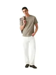 Guess Herren T-Shirt Beige | online kaufen