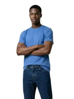 Miete Tommy Hilfiger Herren T-Shirt Türkis für Frühling/Sommer