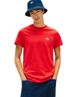 Tommy Hilfiger Herren T-Shirt Rot mieten | Flex-Fashion