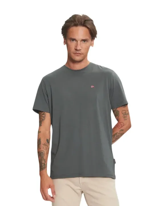 Napapijri Herren T-Shirt Grün | online kaufen