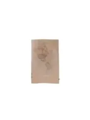 Alviero Martini Prima Classe Damen Halstuch Beige