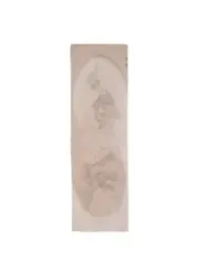 Alviero Martini Prima Classe Damen Halstuch Beige