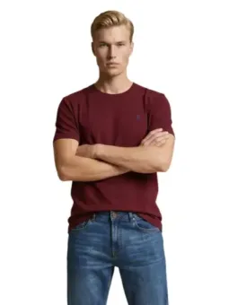 U.s. Polo Assn. Herren T-Shirt Bordeaux mieten | Flex-Fashion