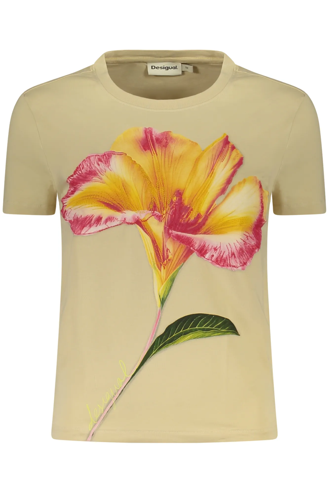 Damen Kurzarm-T-Shirt Beige 26SWTK03_BE1001