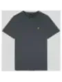 Graues Lyle & Scott V-Shirt