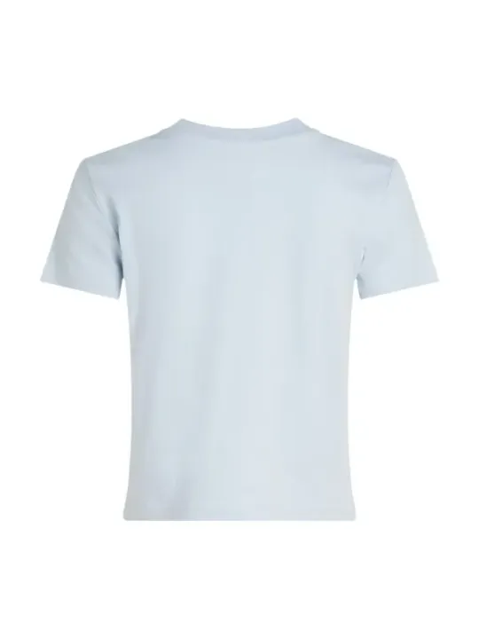 Leichter blauer Calvin Klein T-Shirt