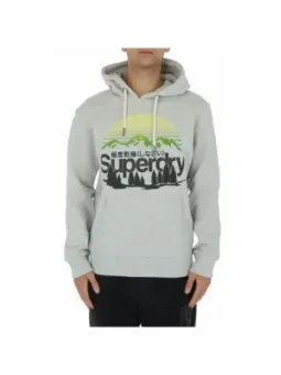 Grauer Superdry Kapuzenpullover mit Grafik