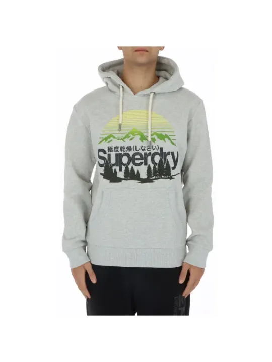 Grauer Superdry Kapuzenpullover mit Grafik