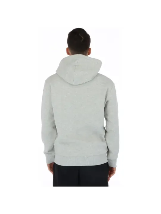 Grauer Superdry Kapuzenpullover Rückansicht
