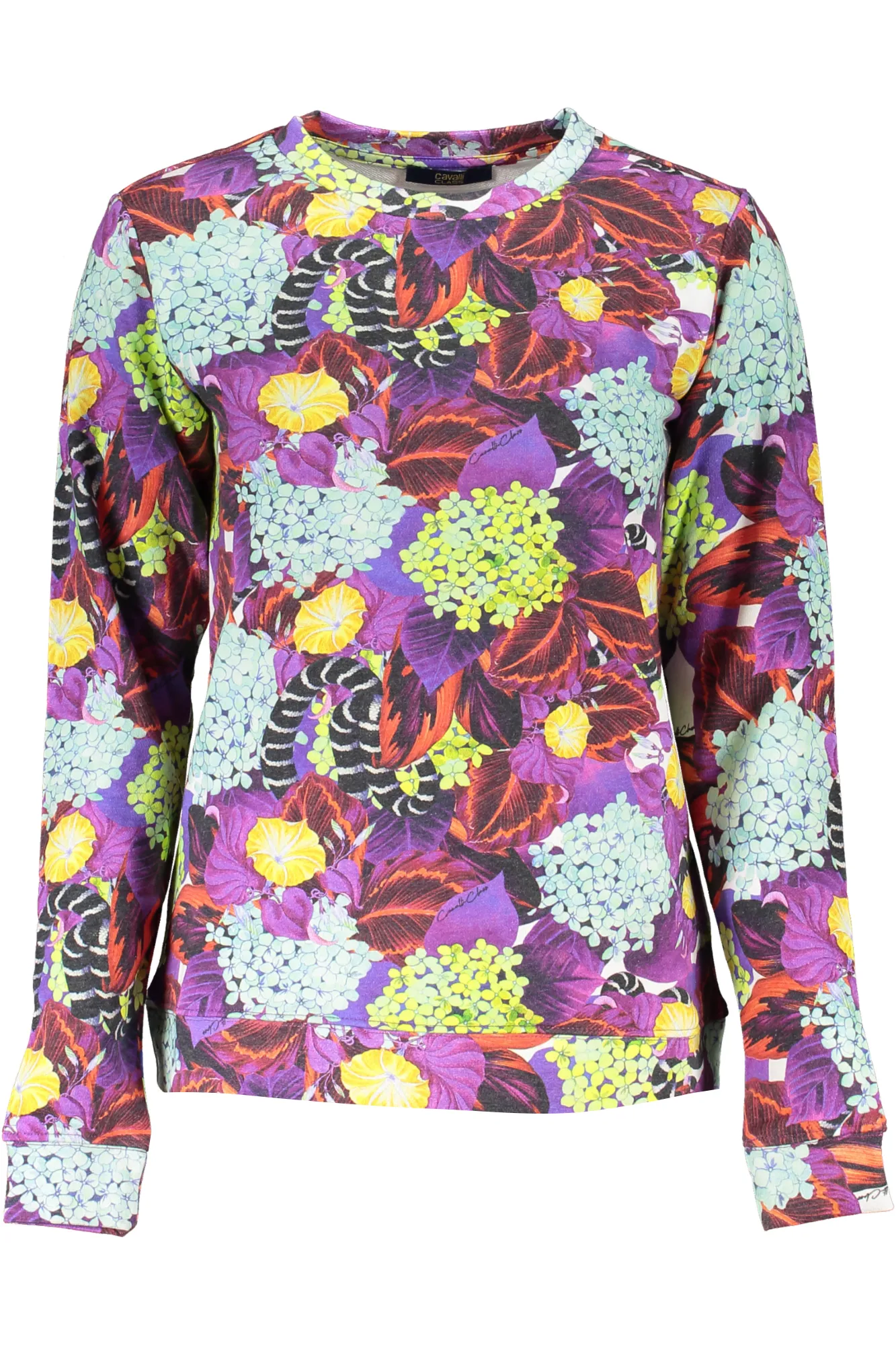 Damen SWEATSHIRT Violett RXT67D2OH72_VI09000