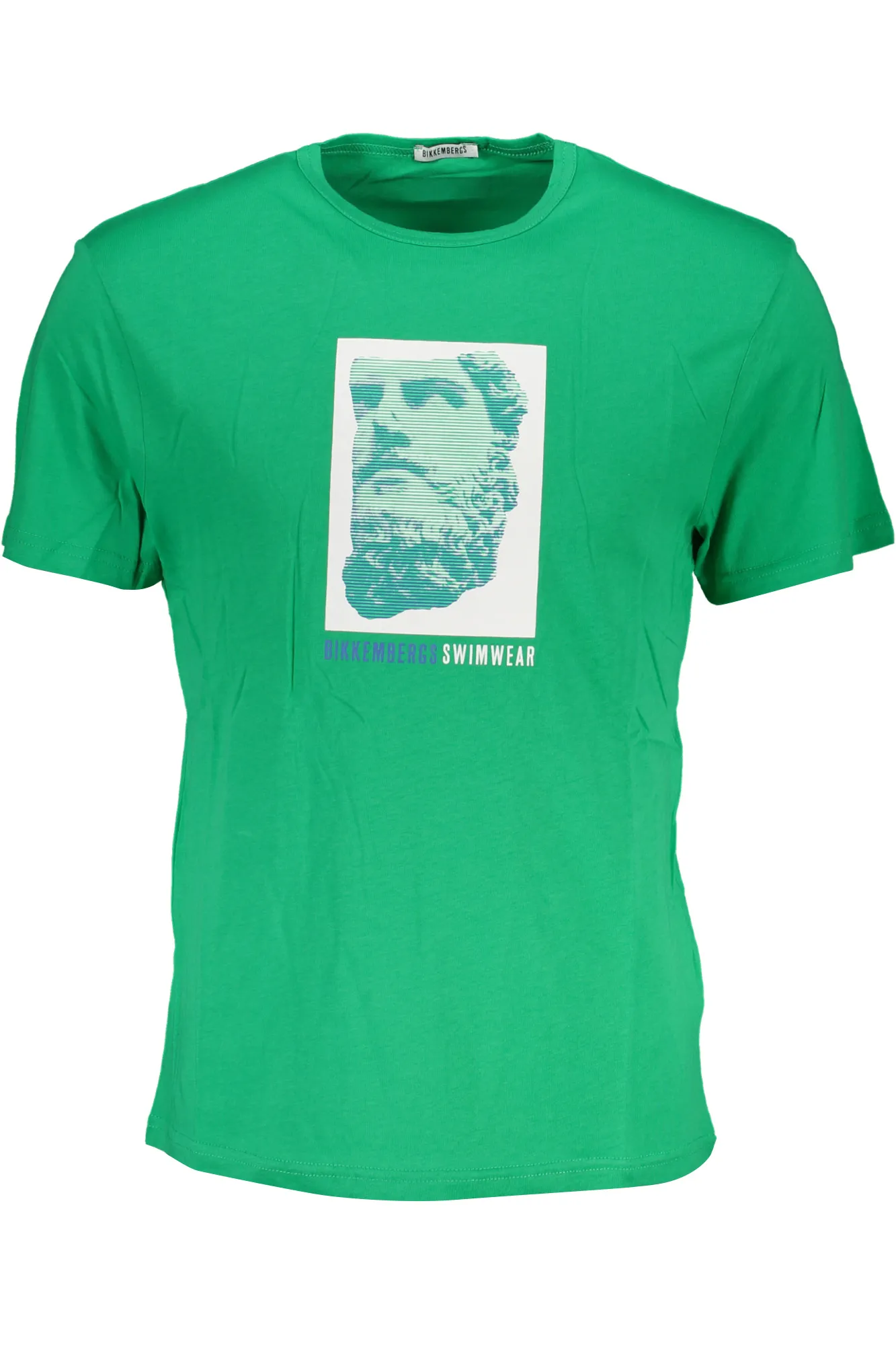 Herren T-SHIRT Grün BKK1MTS03_VEGREEN