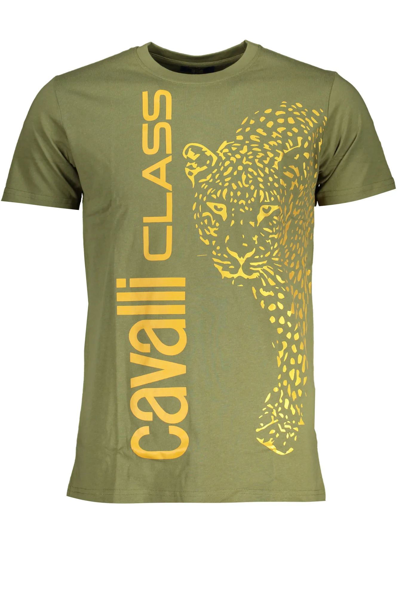 Herren T-Shirt Grün QXT62RJD060_VE04050