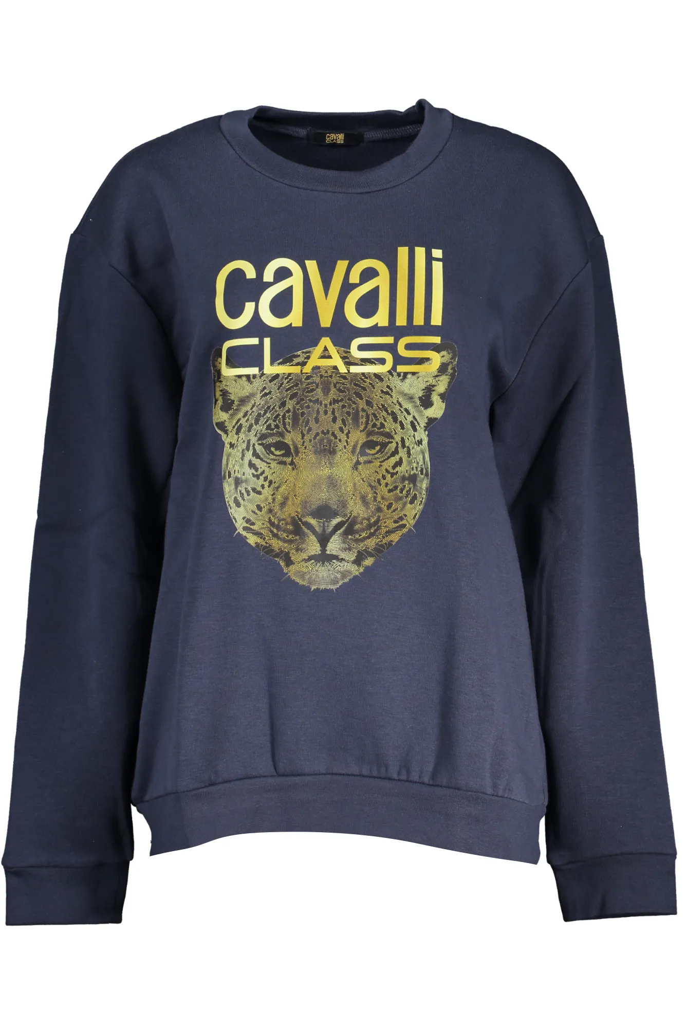 Damen SWEATSHIRT Blau QXT67ZCF062_BL04926