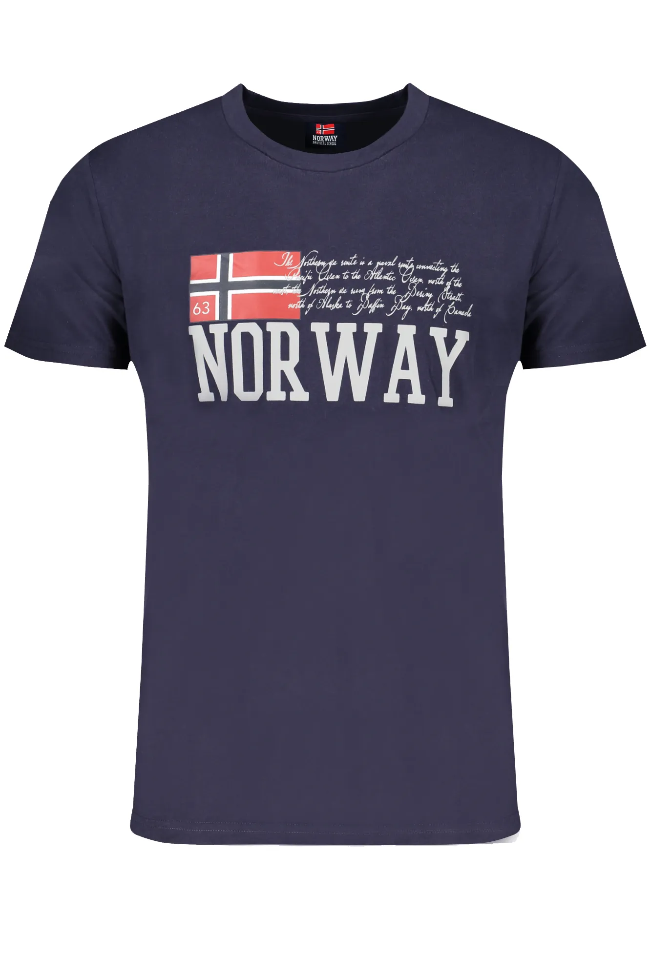 Herren T-Shirt Blau 846020_BLBLU