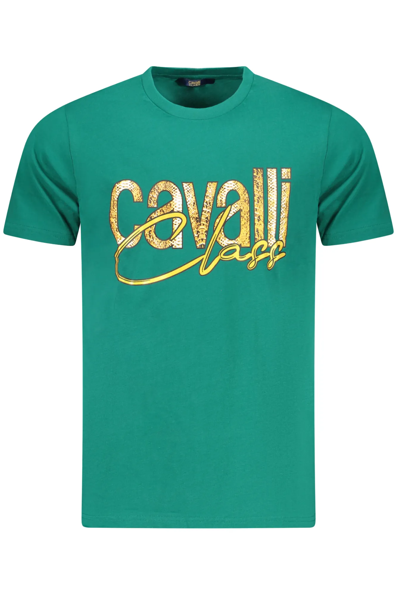 Herren KURZARM-T-SHIRT Grün TXT61MJD060_VE04038