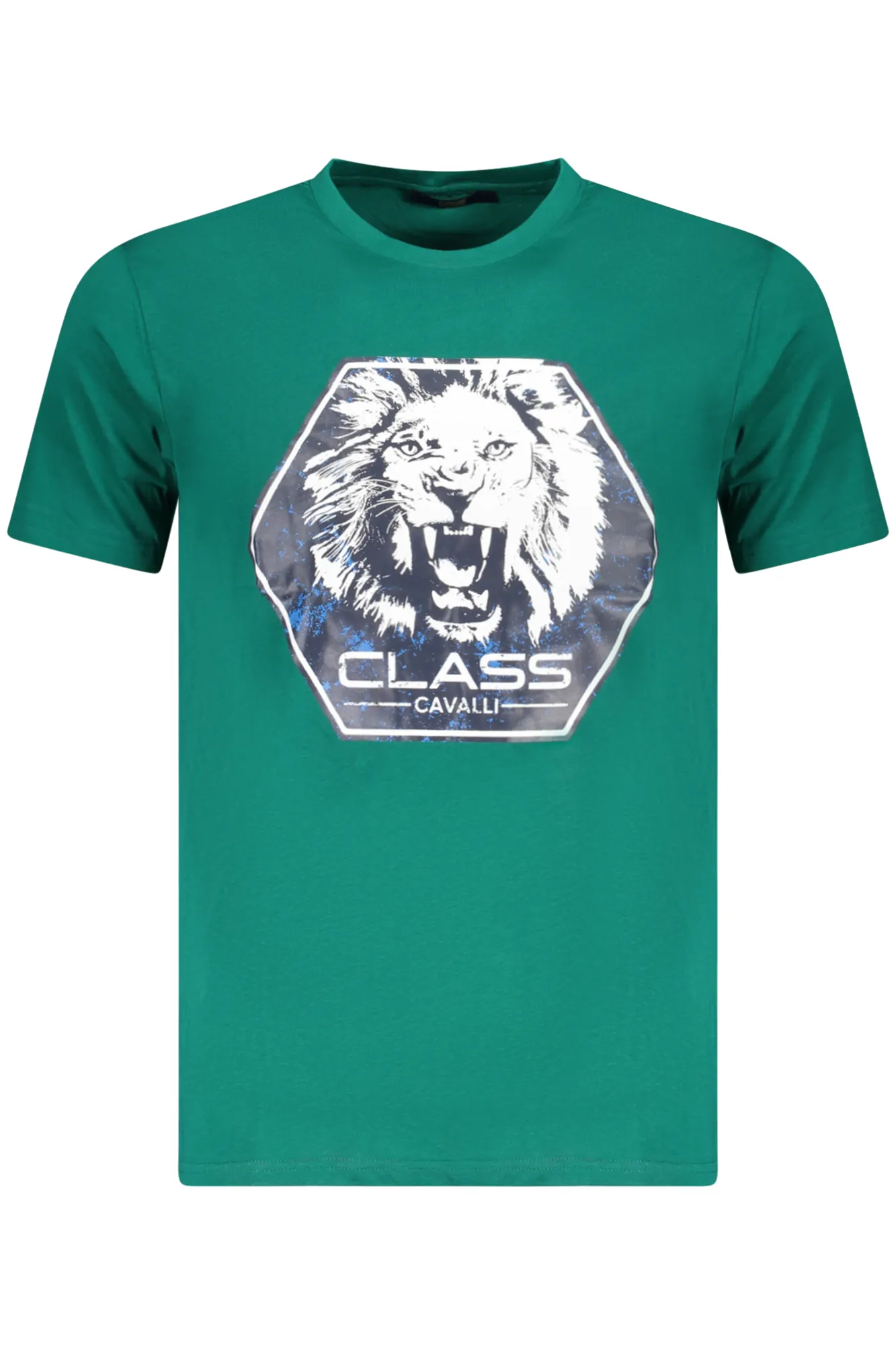 Herren KURZARM-T-SHIRT Grün TXT60PJD060_VE04038