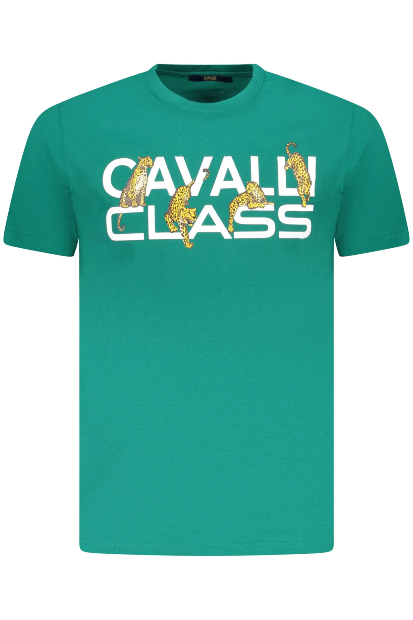 Herren KURZARM-T-SHIRT Grün TXT60MJD060_VE04038