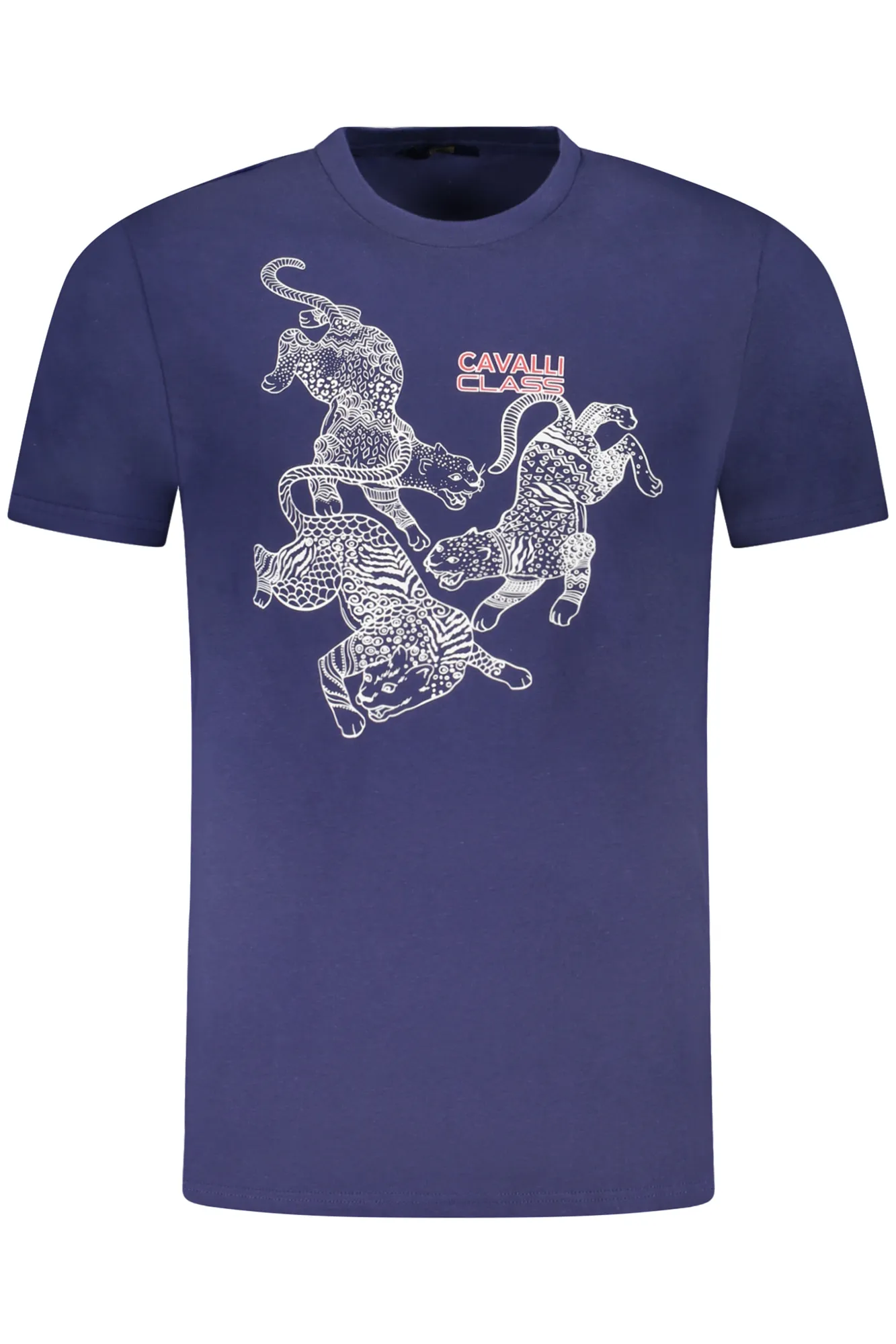 Herren KURZARM-T-SHIRT Blau TXT60CJD060_BL04551