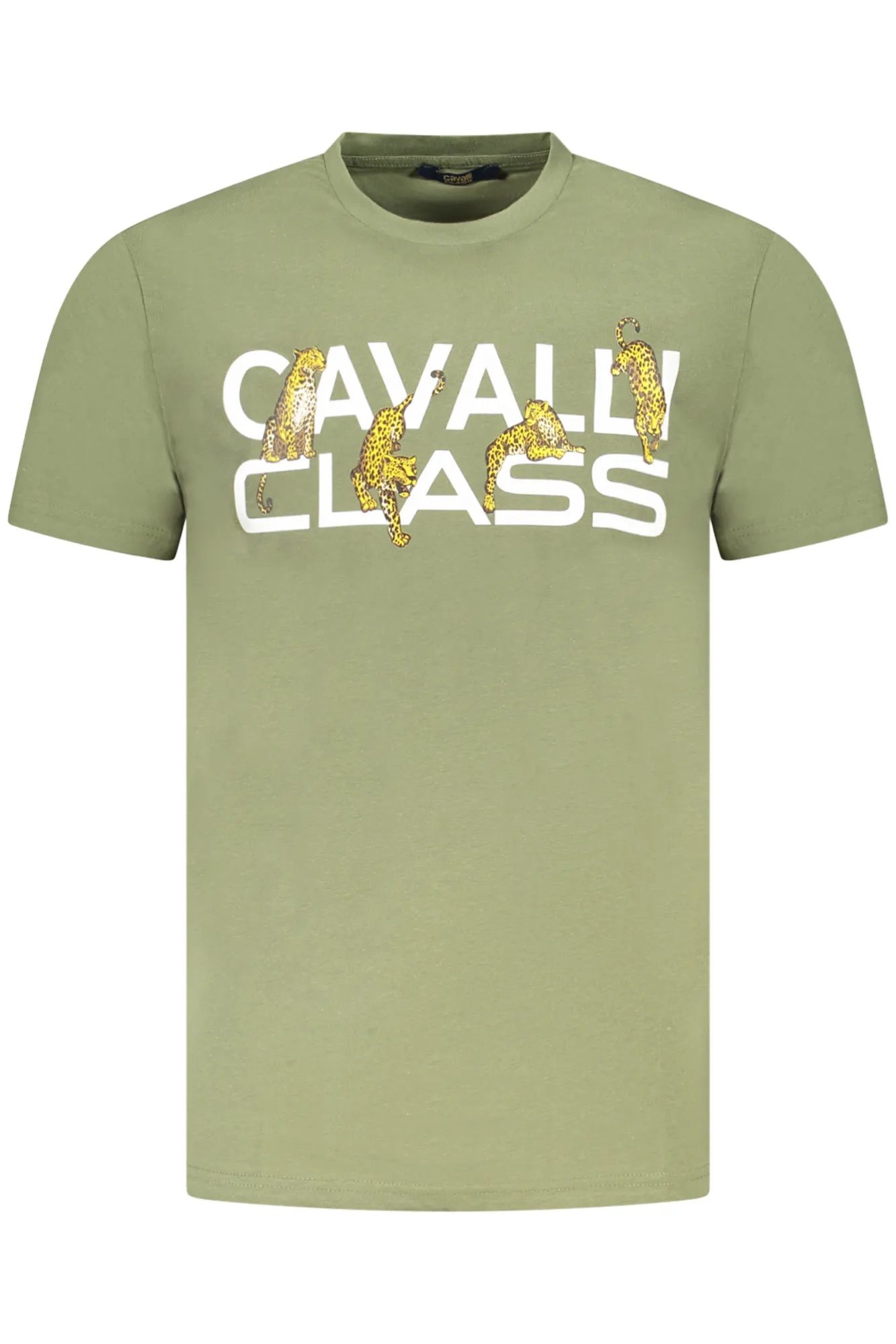 Herren KURZARM-T-SHIRT Grün TXT60MJD060_VE04050
