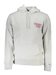 Tommy Hilfiger Herren KAPUZENSWEATSHIRT Grau | online kaufen